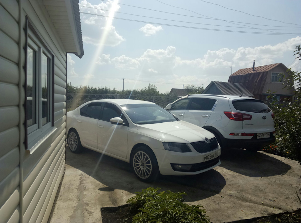 Фото в бортжурнале Skoda Octavia A7 Mk3