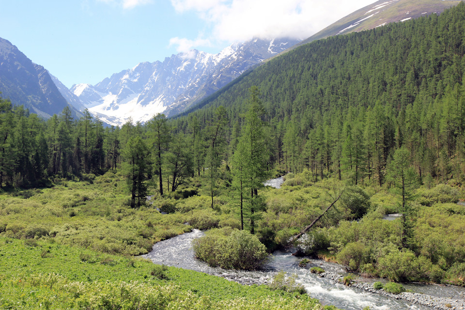Водопад куйгук алтай как добраться на машине. Смотреть фото Водопад куйгук алтай как добраться на машине. Смотреть картинку Водопад куйгук алтай как добраться на машине. Картинка про Водопад куйгук алтай как добраться на машине. Фото Водопад куйгук алтай как добраться на машине