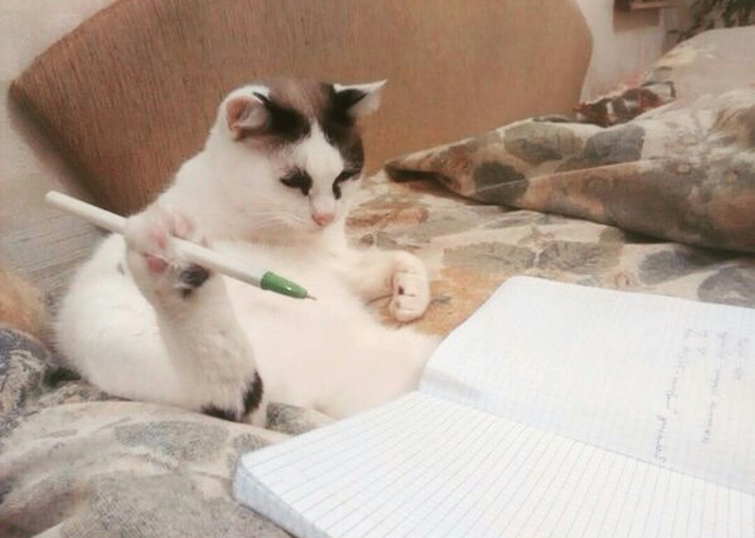 Кот с ручкой