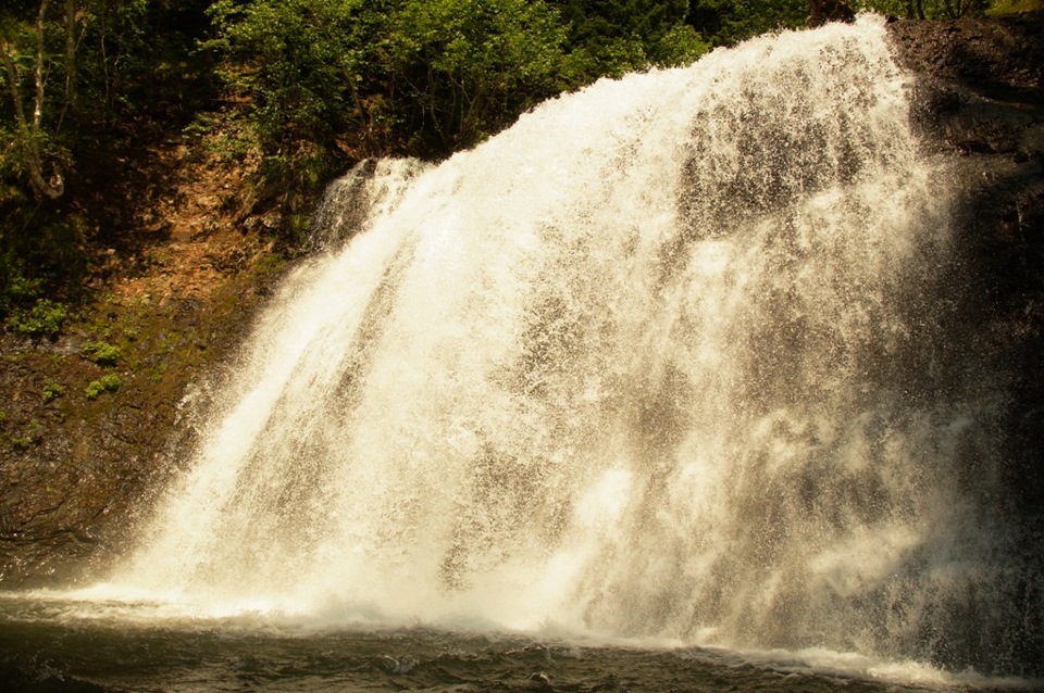 Фото в бортжурнале Nissan Safari (Y60)