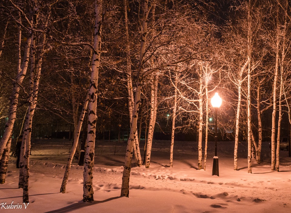 Зимняя фотосессия с классом. Много народу на льду. Длинное стихотворение про зиму. Много людей на льду. Зимнее утро в лесу.