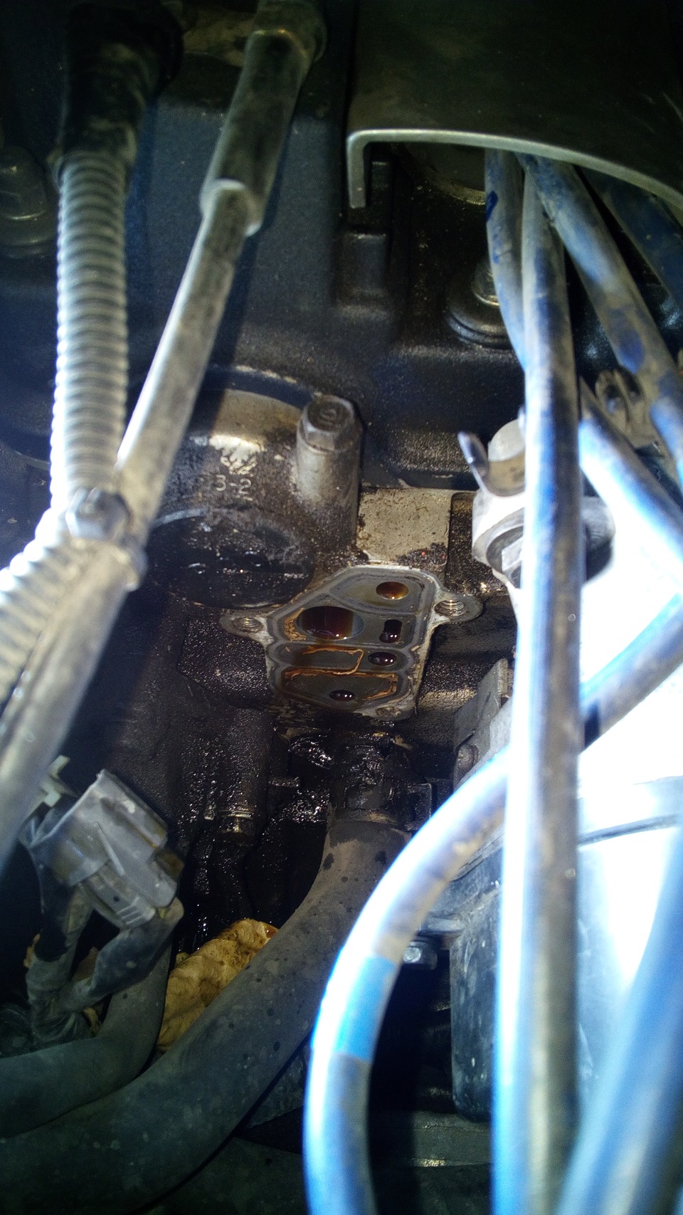 Заменил прокладку VTEC и Прокладку под трамблером — Honda Accord (6G ...