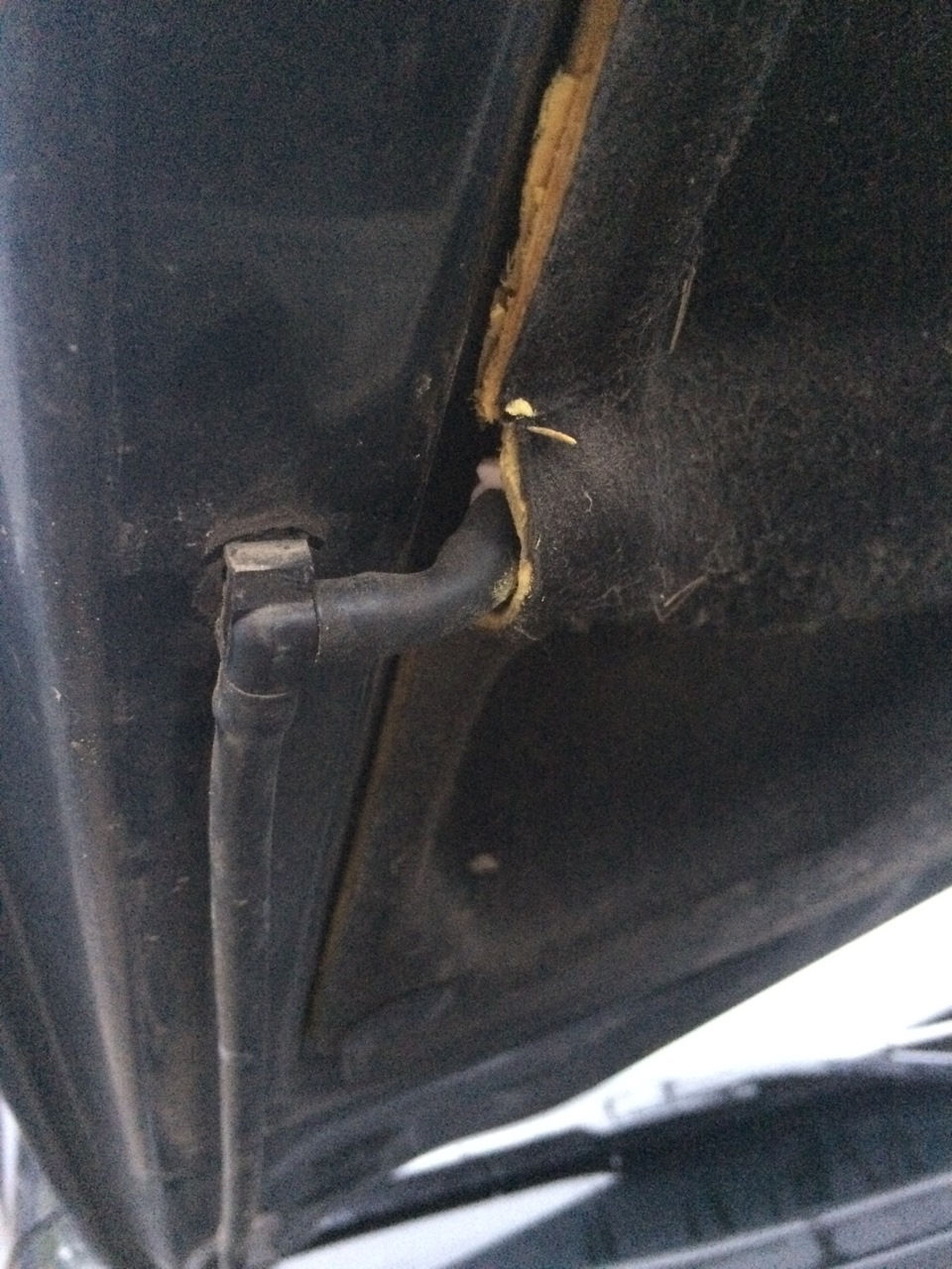 Клапан обратный с омывателя фар — Toyota Camry (XV30), 2,4 л, 2004 года ...