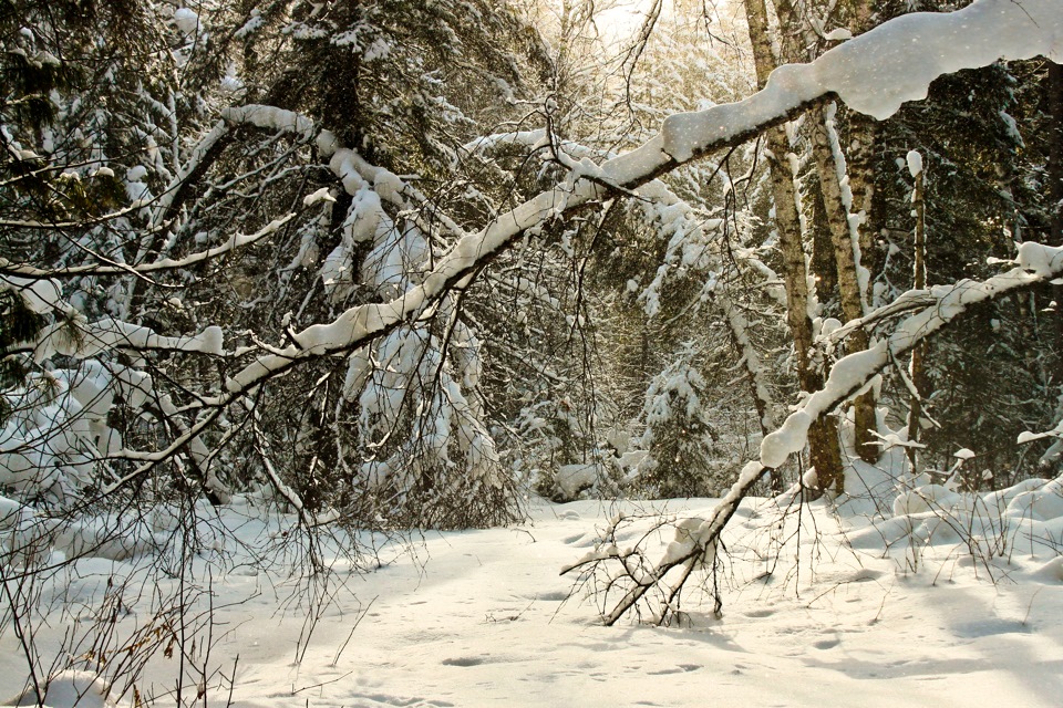 Фото в бортжурнале Suzuki Jimny (1G)
