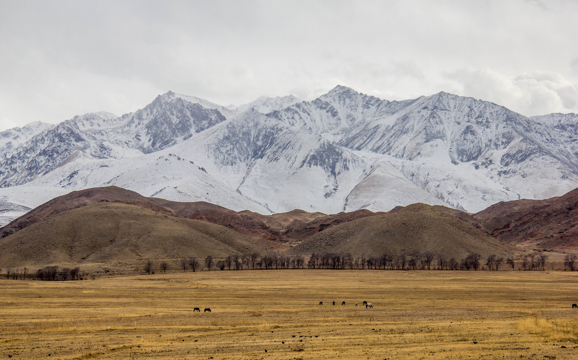 киргизия в марте. иссык-куль кыргызстан зима. ущелье ала-арча киргизия. озеро каракол кыргызстан иссык куль. киргизия в марте.