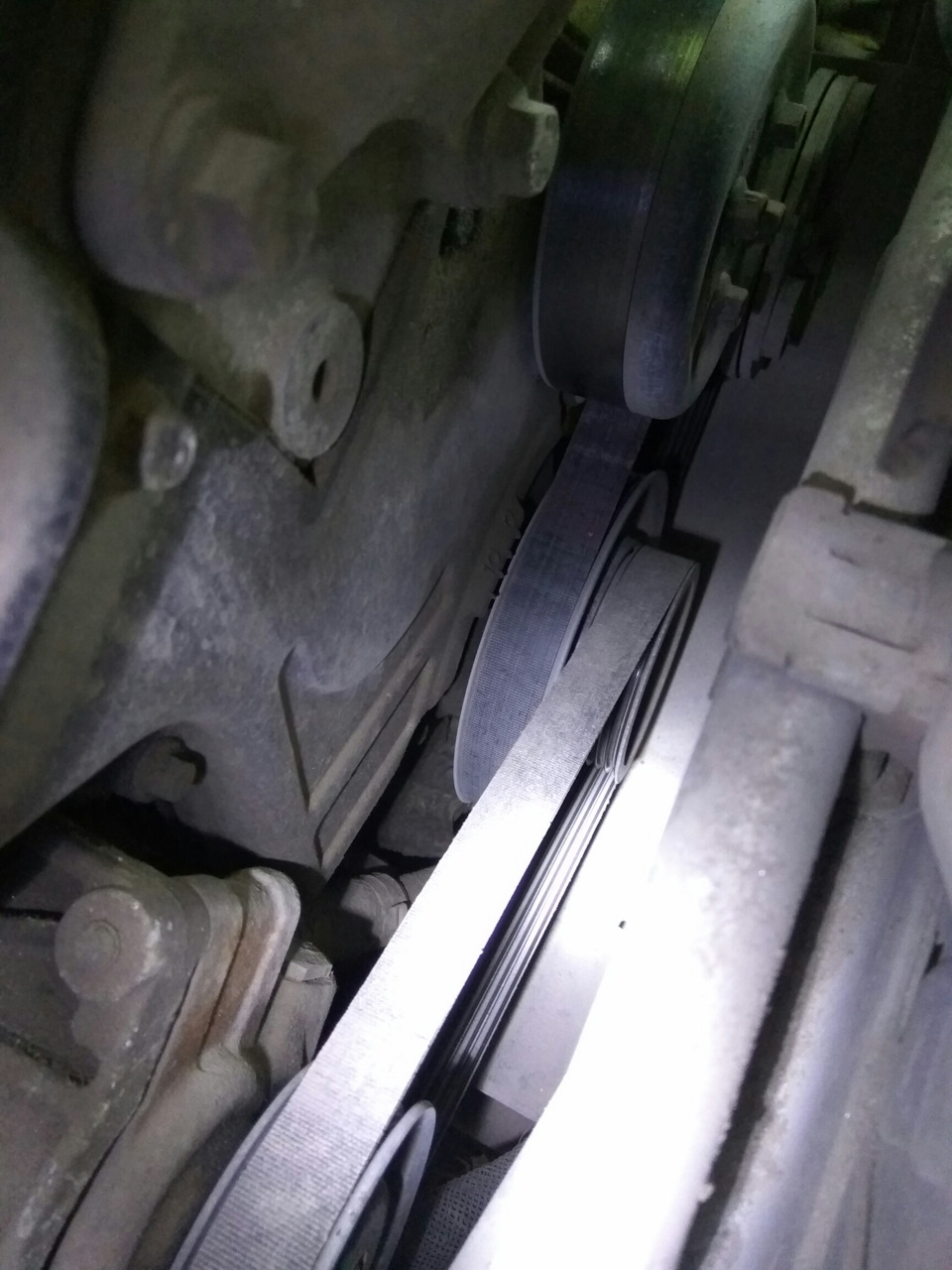 Ремень ГРМ — Ford Fusion, 1,4 л, 2006 года | плановое ТО | DRIVE2