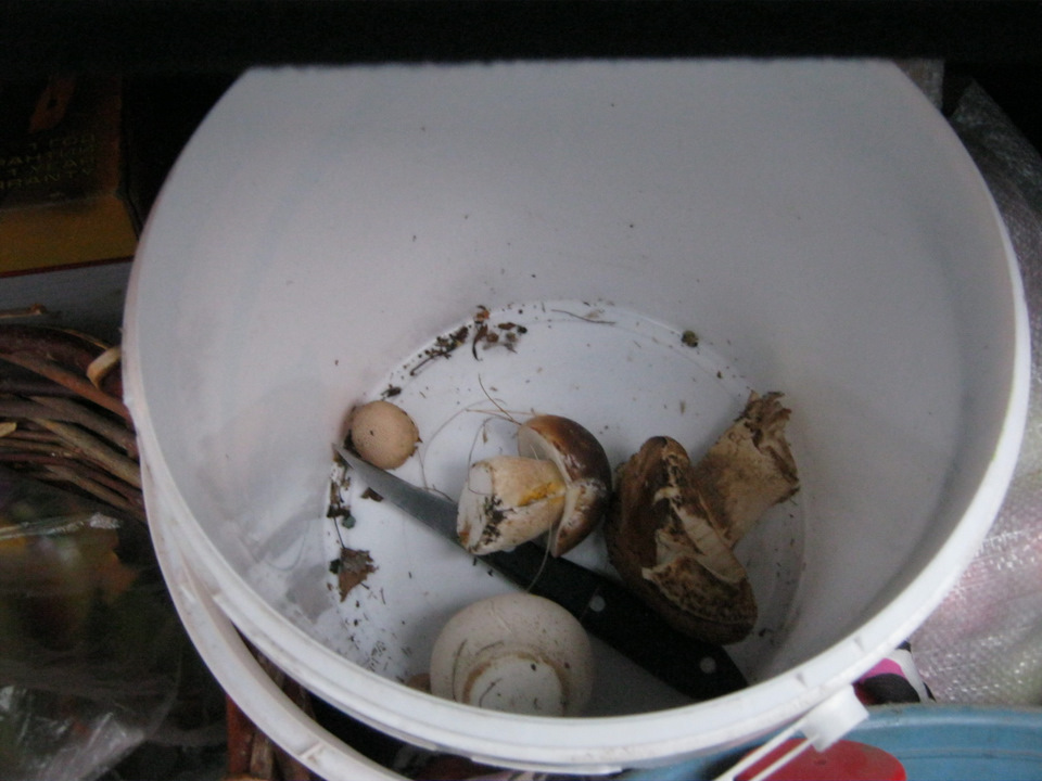 Фото в бортжурнале Lada Kalina Cross