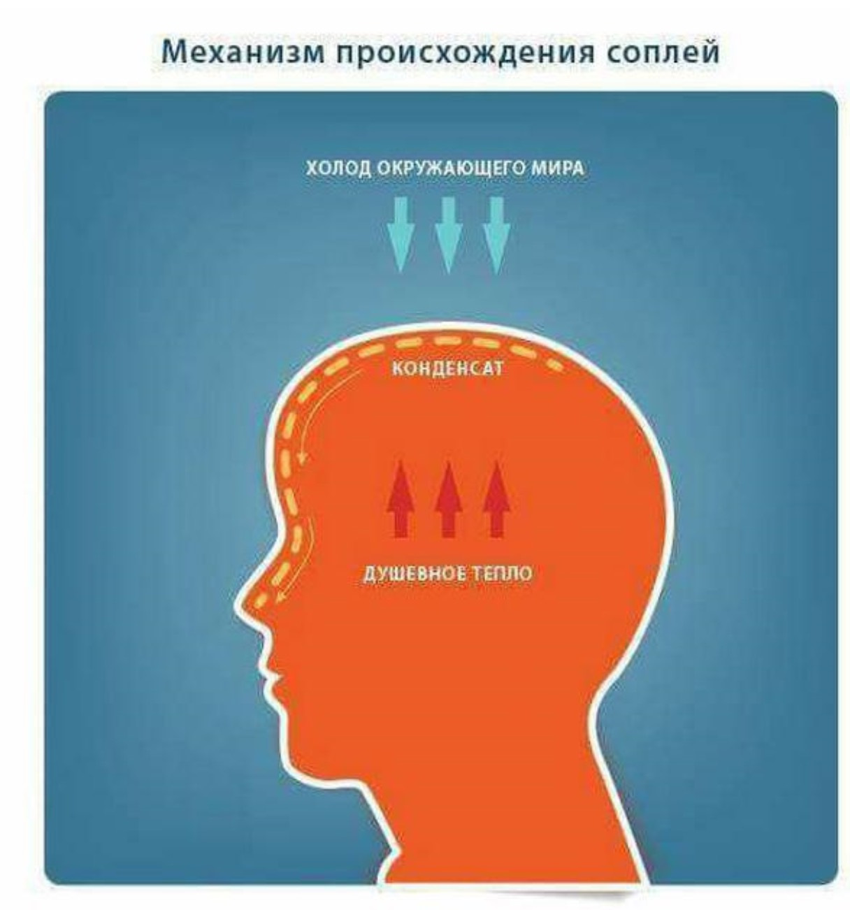 Откуда берется сопля. Механизм происхождения соплей. Сопли душевное тепло. Душевное тепло конденсат. Механизм образования соплей.