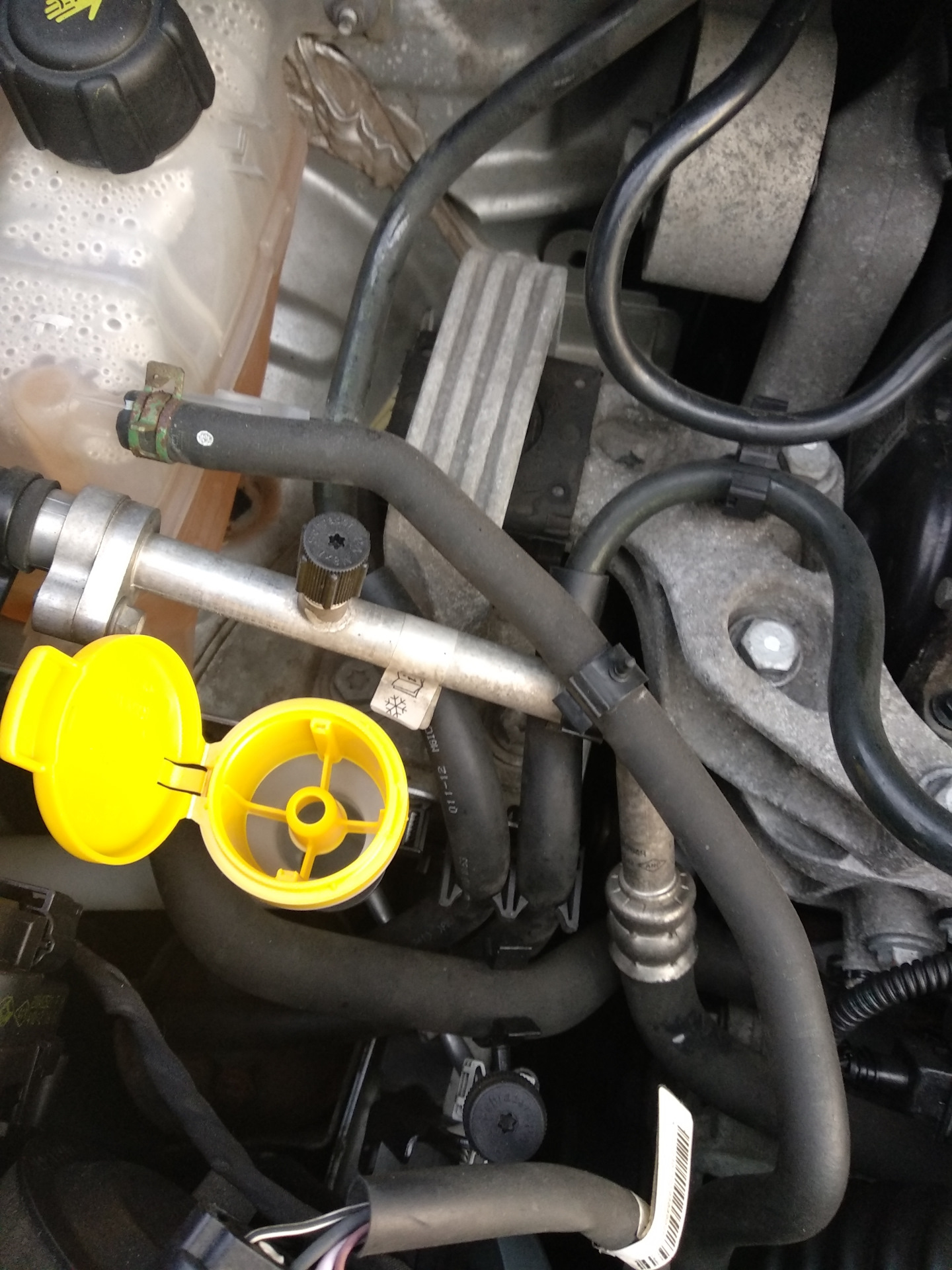 Крышка омывайки — Renault Grand Scenic III, 1,6 л, 2012 года | просто ...