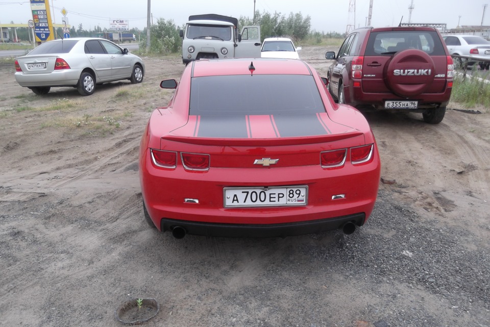 А на севере большие красные комары)) — Chevrolet Cruze (1G), 1,8 л ...