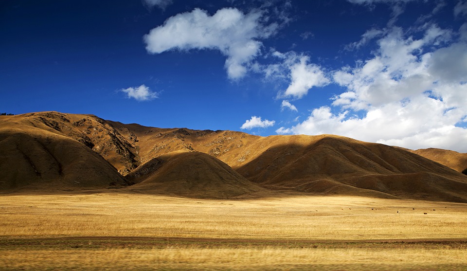 Фото в бортжурнале Infiniti QX70