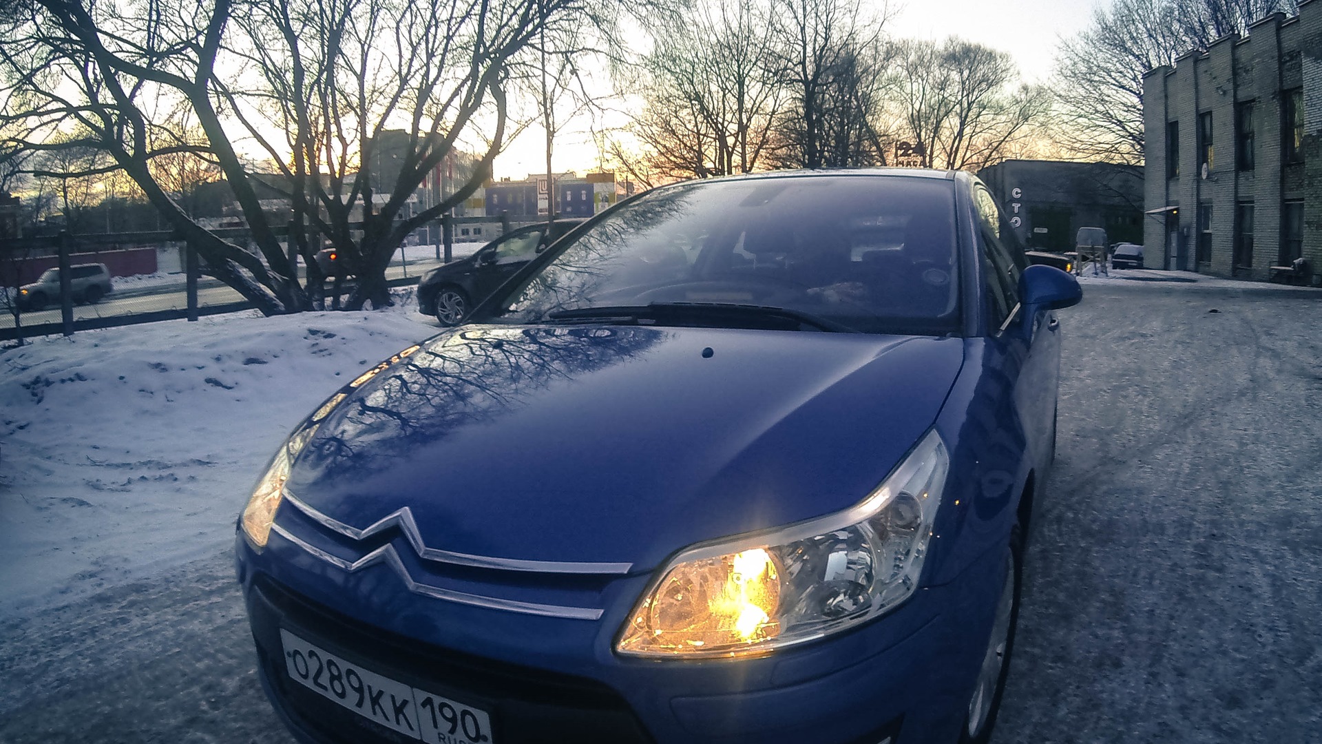 Citroen C4 (1G) 1.6 бензиновый 2008 | Синяя таблетка цитромона на DRIVE2