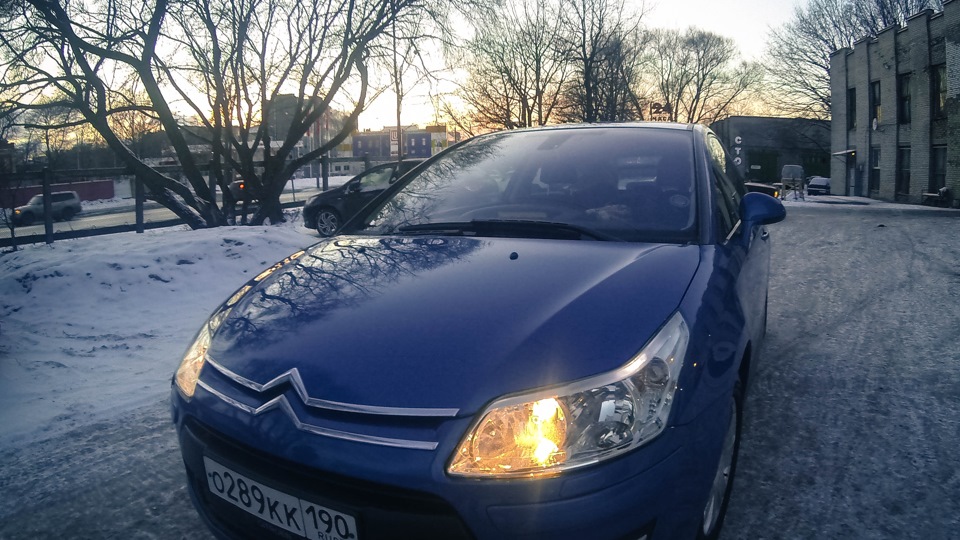 Citroen C4 Синяя таблетка цитромона