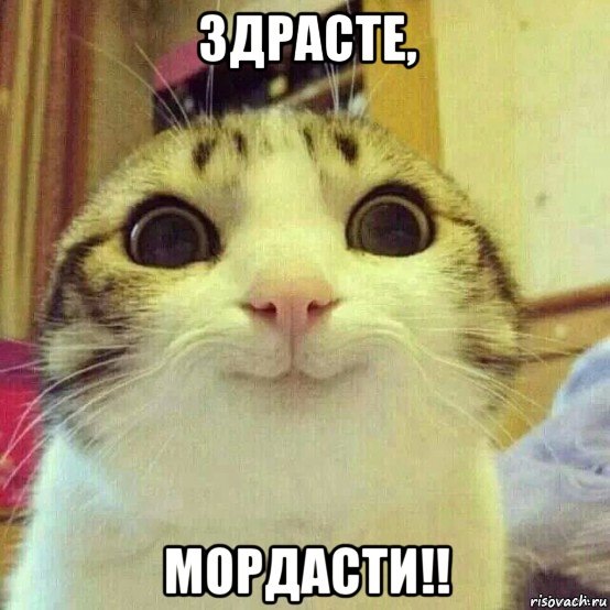 Здрасте мордасте. Здрасте мордасте