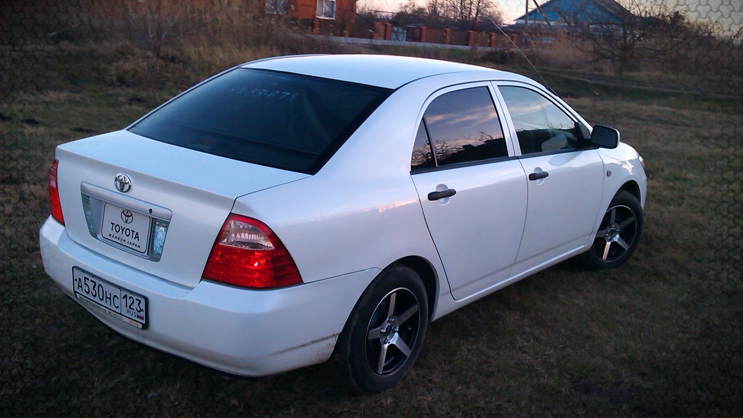 Toyota Corolla (120) 1.5 бензиновый 2005 | Son of God ☆ Albino на DRIVE2