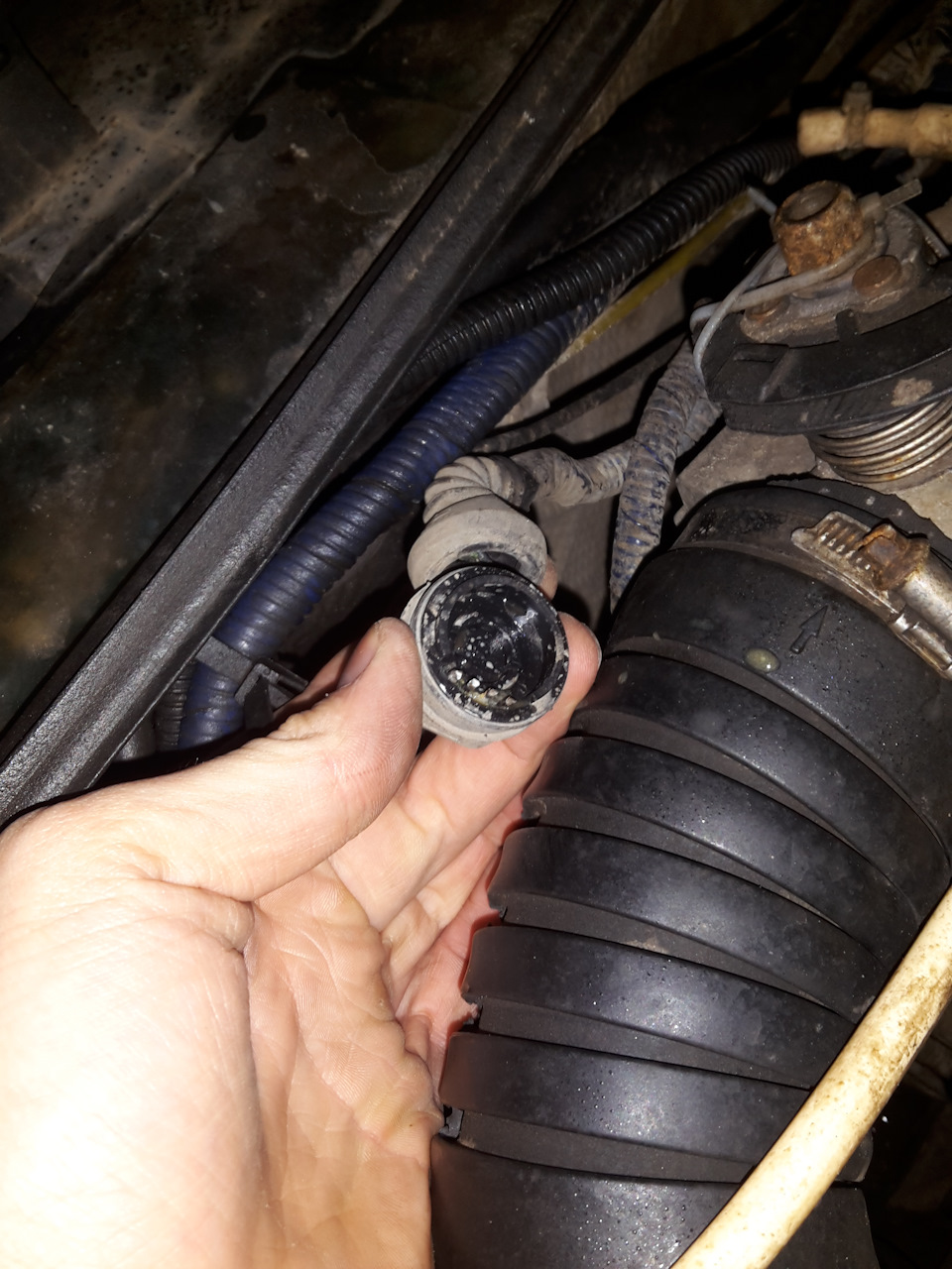 Сорвало днище РХХ :D — Volkswagen Passat B3, 1,8 л, 1990 года ...