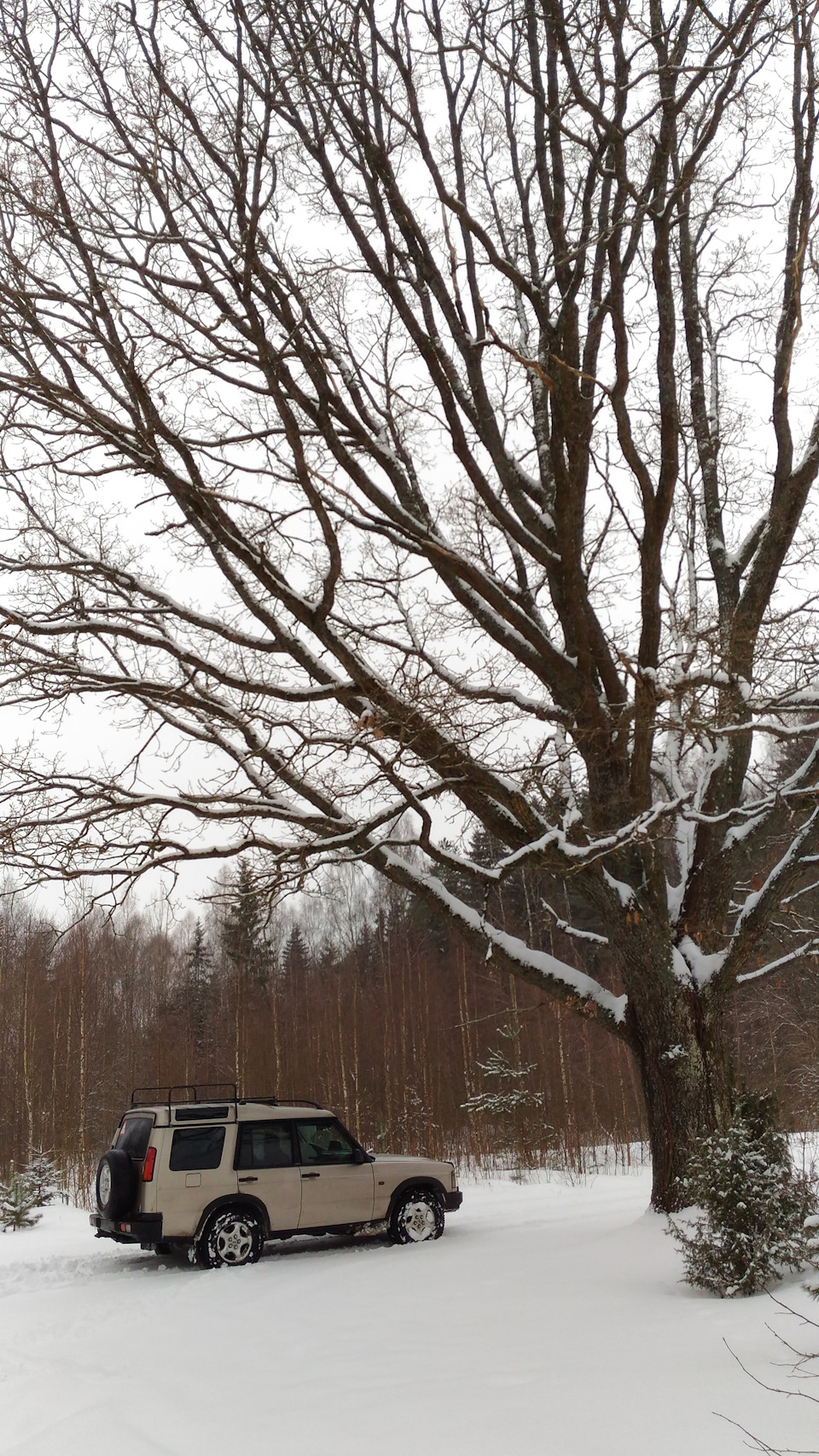 Погасла вся подсветка панели приборов — нужна помощь советом (РЕШЕНО ...