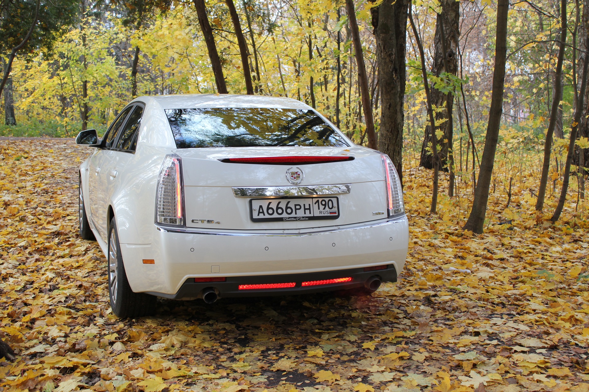 Фото в бортжурнале Cadillac CTS (2G)