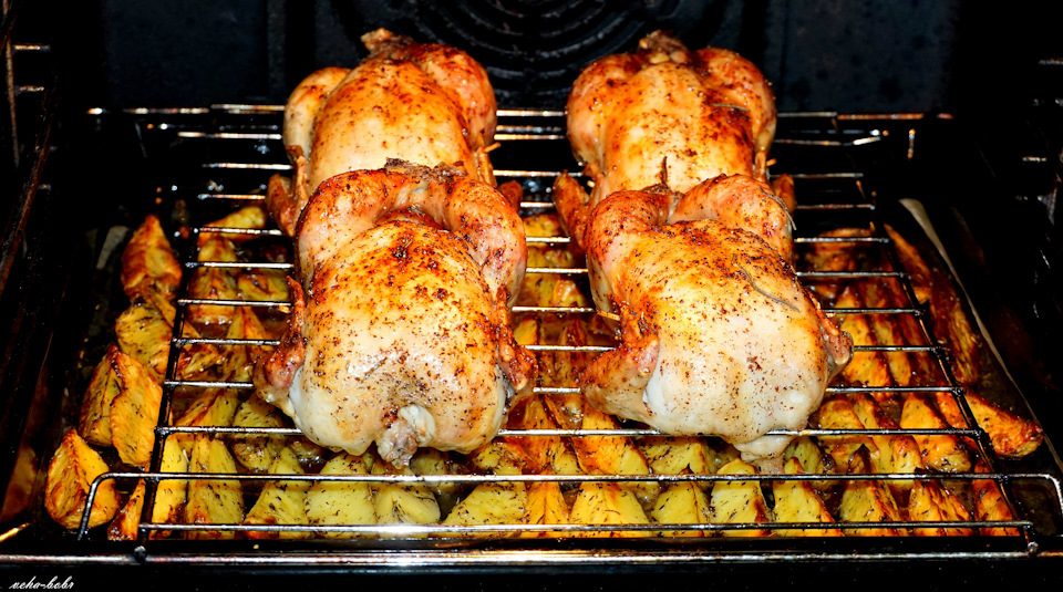 Приготовить корнишоны в духовке. Запеченный цыпленок корнишон. Курочка корнишон в духовке. Цыпленок в духовке. Курица на решетке в духовке с картошкой.