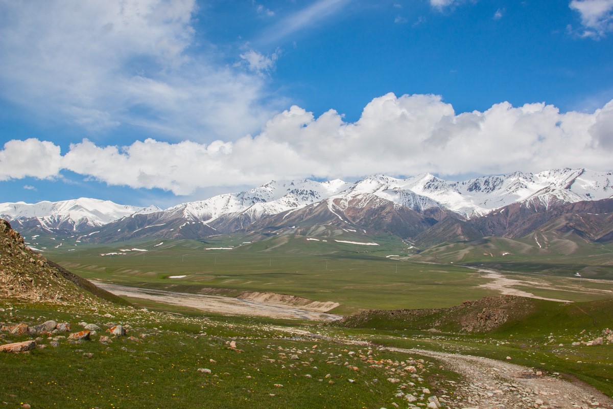 Джунгарский алатау фото