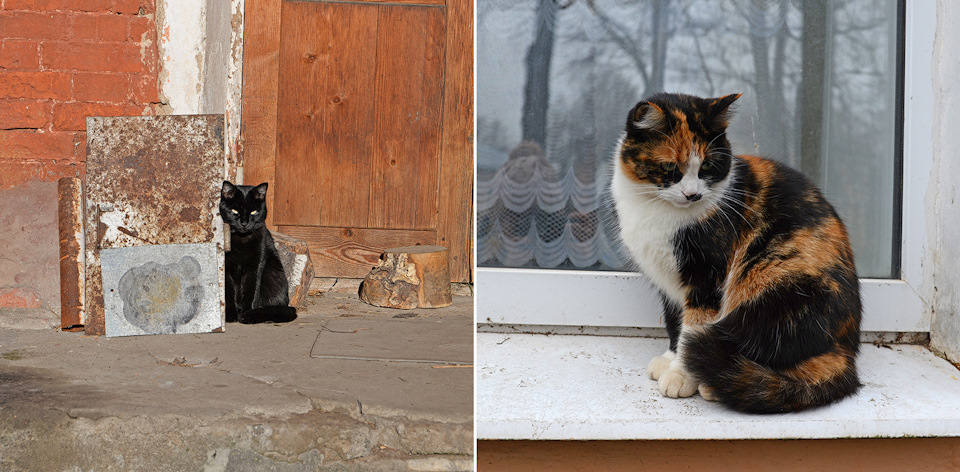 кафе у юрьева монастыря. Смотреть фото кафе у юрьева монастыря. Смотреть картинку кафе у юрьева монастыря. Картинка про кафе у юрьева монастыря. Фото кафе у юрьева монастыря кафе у юрьева монастыря. Смотреть фото кафе у юрьева монастыря. Смотреть картинку кафе у юрьева монастыря. Картинка про кафе у юрьева монастыря. Фото кафе у юрьева монастыря