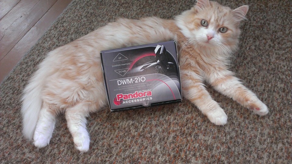 Как подключить доводчик стекол к центральному замку на рено логан