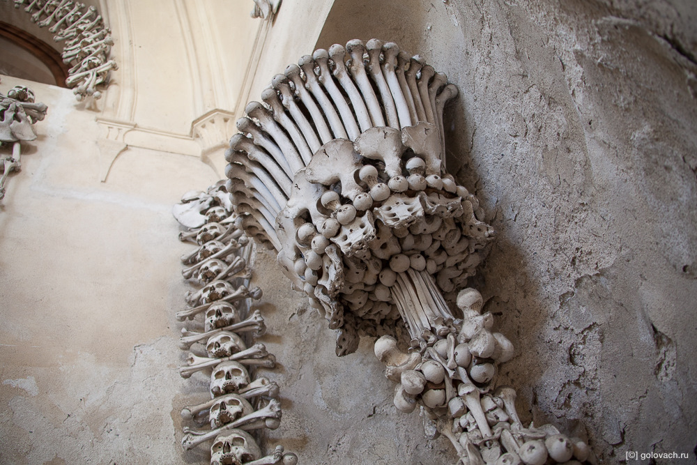 Церковь из костей в Чехии: леденящие душу фотографии - Сообщество "Это интересно