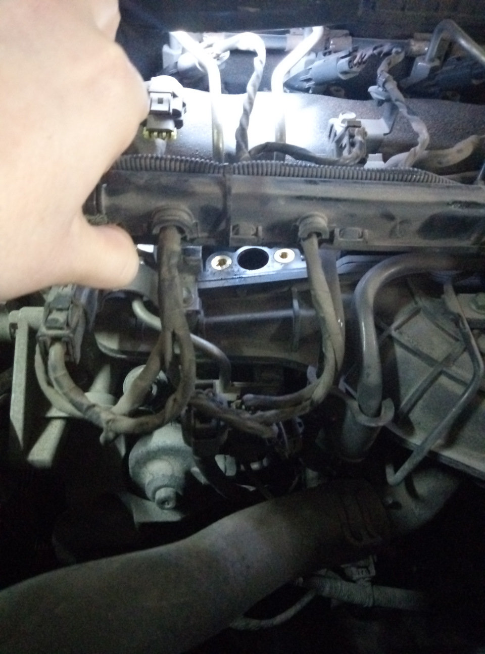Фото в бортжурнале KIA Sorento (2G)