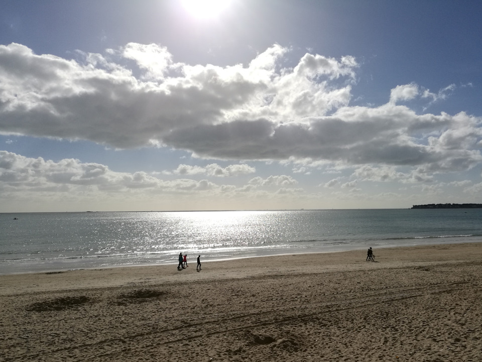 Фото в бортжурнале Audi A4 (B9)