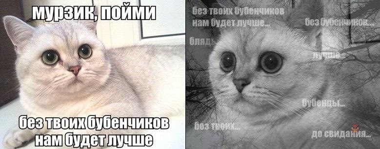 Прощайте мем с котом