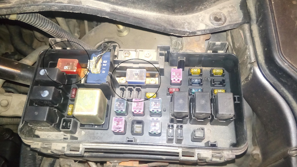 Замена датчика ELD Хонда Одиссей — Honda Odyssey (2G), 2,3 л, 2002 года ...