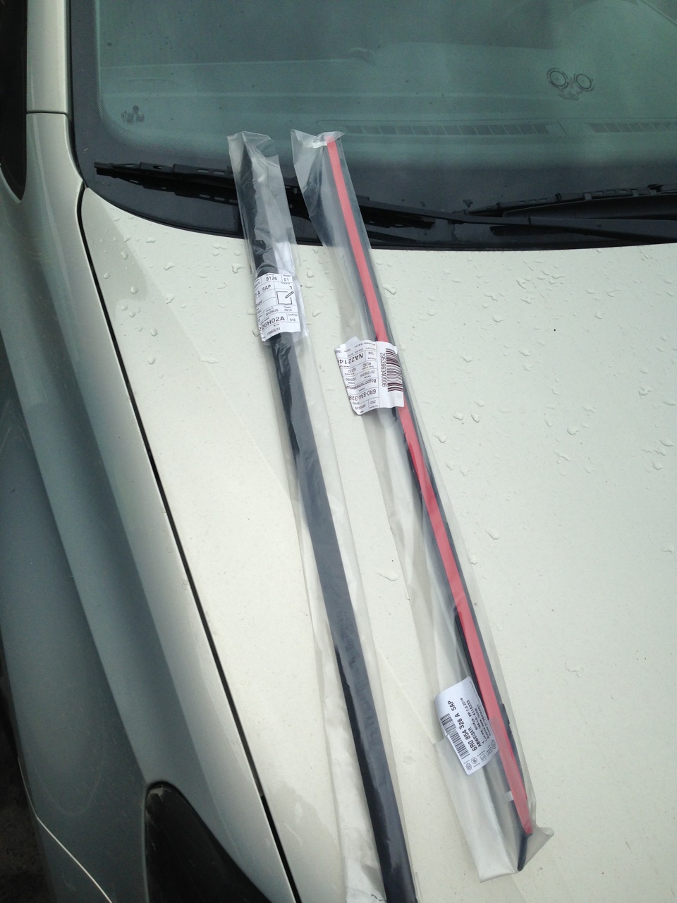 Молдинги на боковое стекло и встреча с клубнем Питера — Volkswagen Polo ...