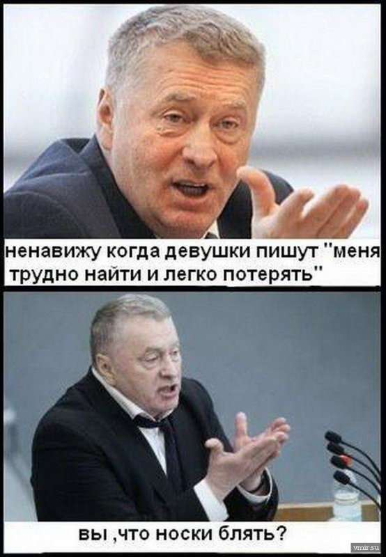 Смешные картинки с надписями про жириновского