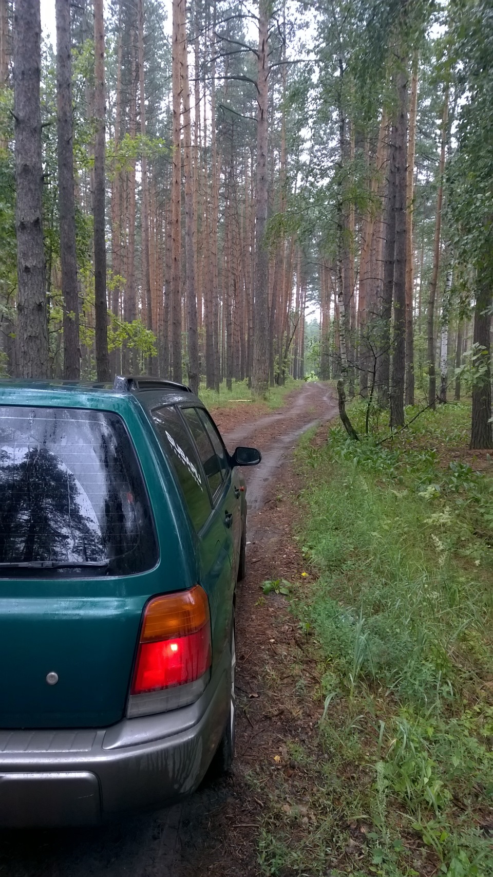 Форик и Лес) не Пёс, а Лес) дада именно он) — Subaru Forester (SF), 2 л ...
