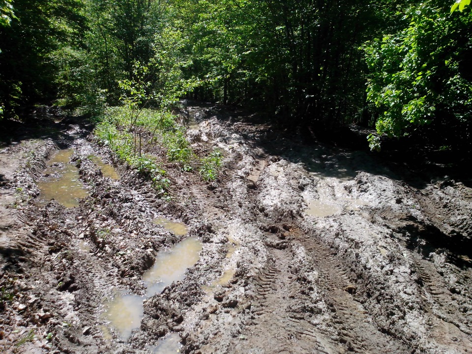 Майские праздники в краснодарском крае — KIA Sportage (1G), 2 л, 1999 ...