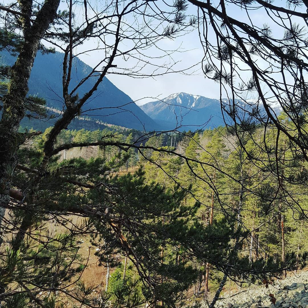 преградная карачаево-черкесия горы. горы красный восток карачаево черкессия. архыз западный кавказ. местность кавказа. ставропольский край карачаево черкесская.