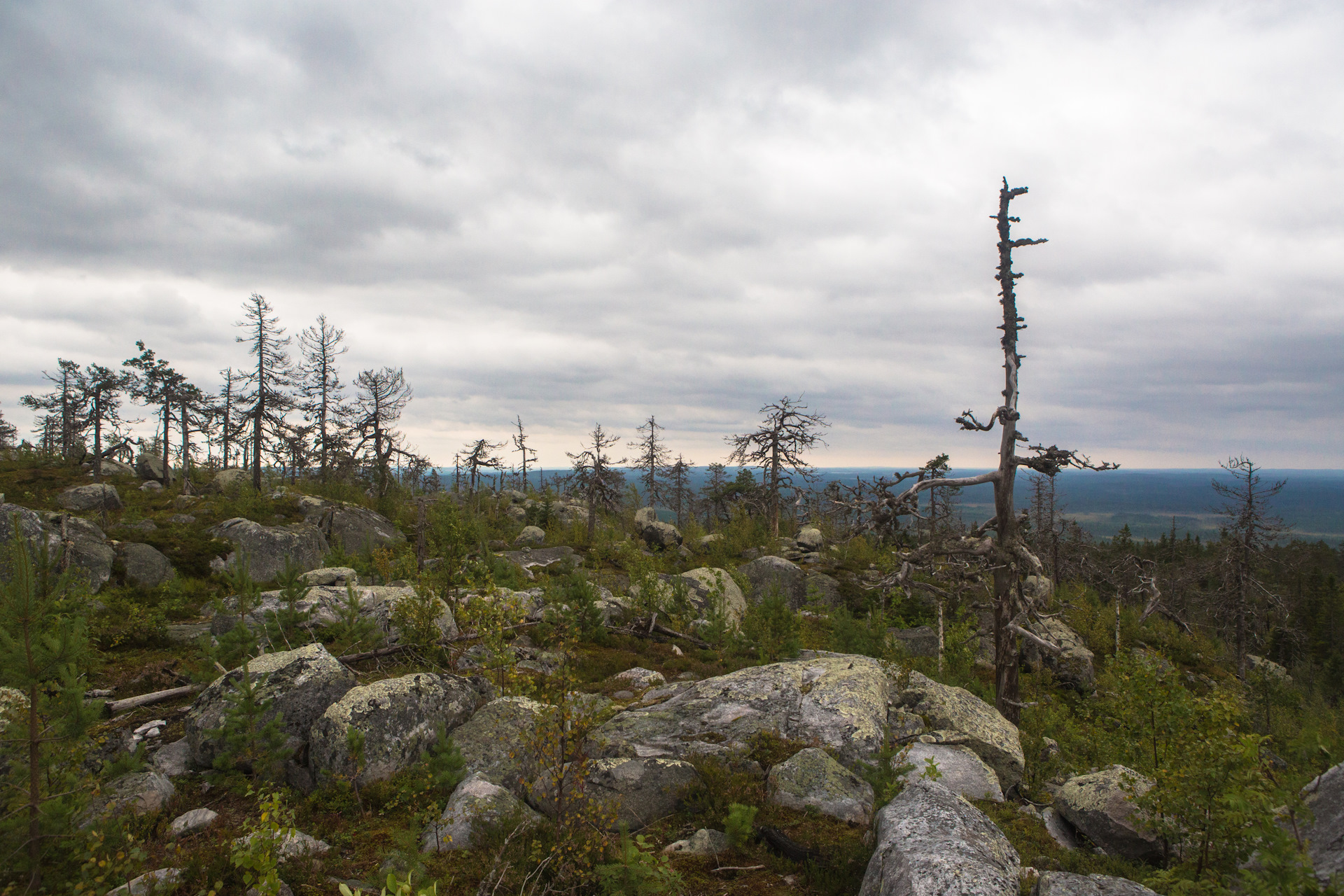 горный парк рускеала карелия. карелия 2017 году. кижи+валаам+горный парк рускеала+соловки из москвы. гранитные скалы карелии. шхеры ладожского озера.