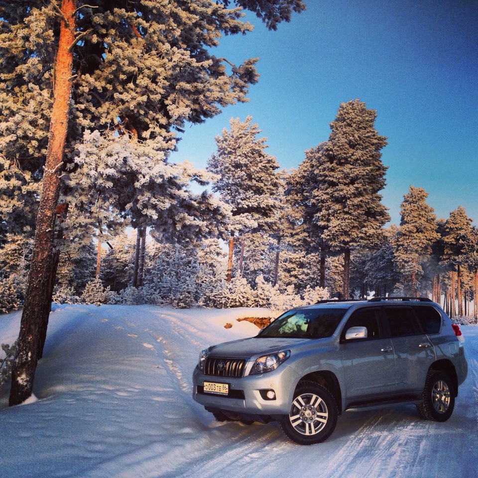 На 4 дня на машине. Rav4 Prado. Машина зима солнце.