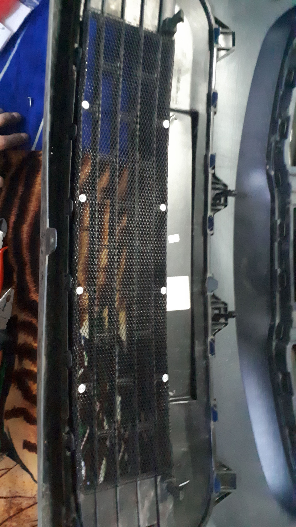 Замена сигнала и установка защитной сетки радиатора — DRIVE2