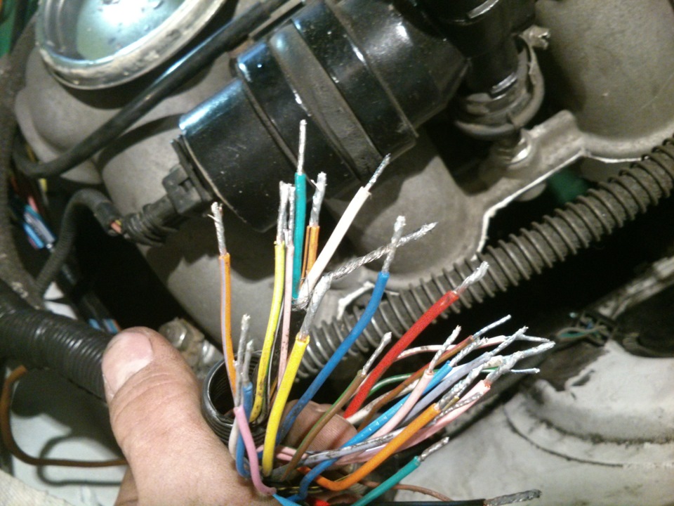 Мозговая проводка ДВС — ГАЗ 31029, 2,4 л, 1995 года | своими руками ...