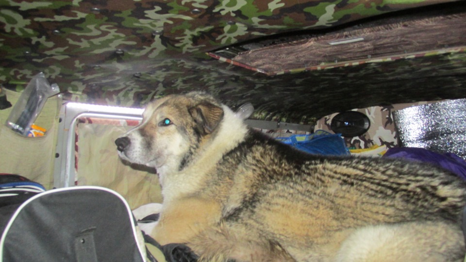 Фото в бортжурнале УАЗ 39095