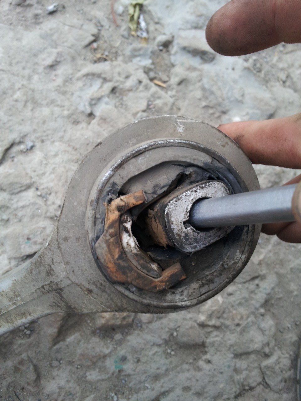 Фото в бортжурнале Volkswagen Passat Variant (B5)