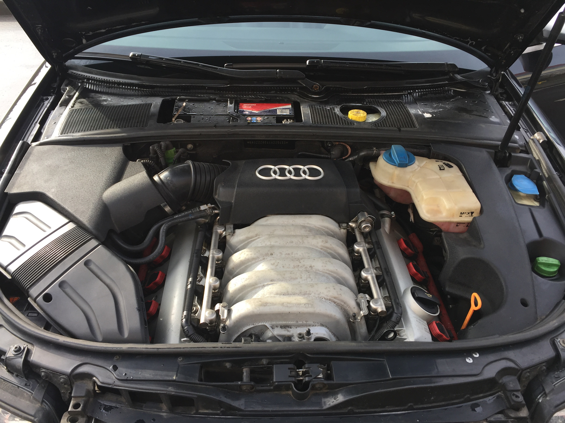 audi-s4-b6-4-2-2004-drive2