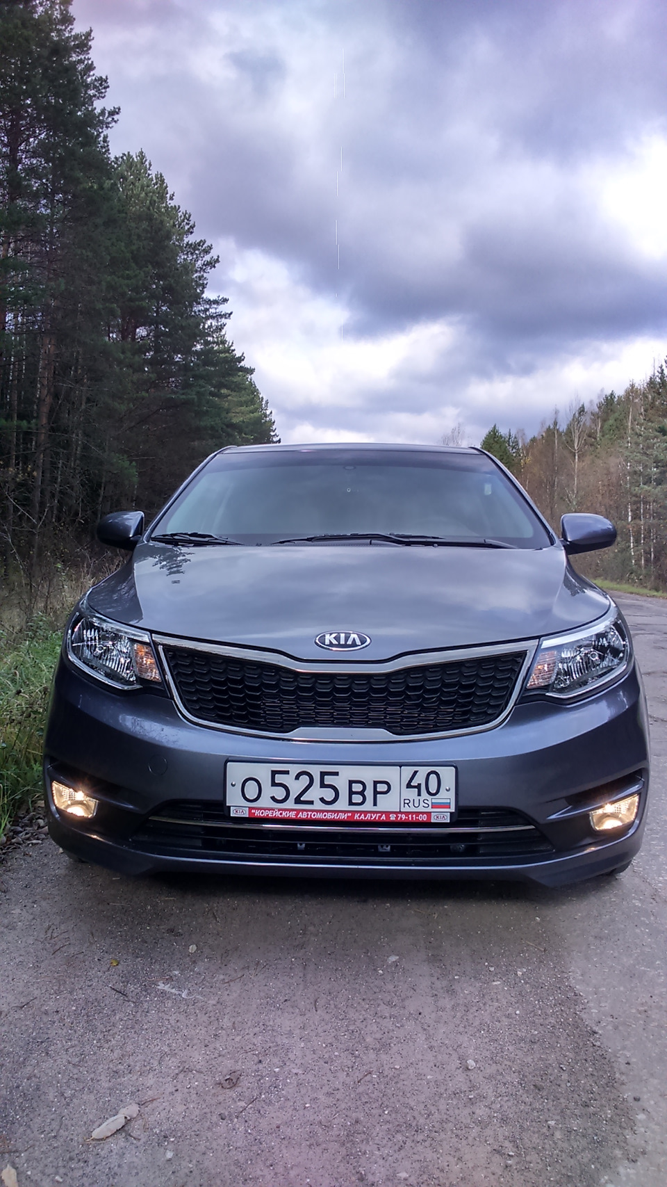 Тонировка и номера. — KIA Rio (3G), 1,4 л, 2016 года | просто так | DRIVE2