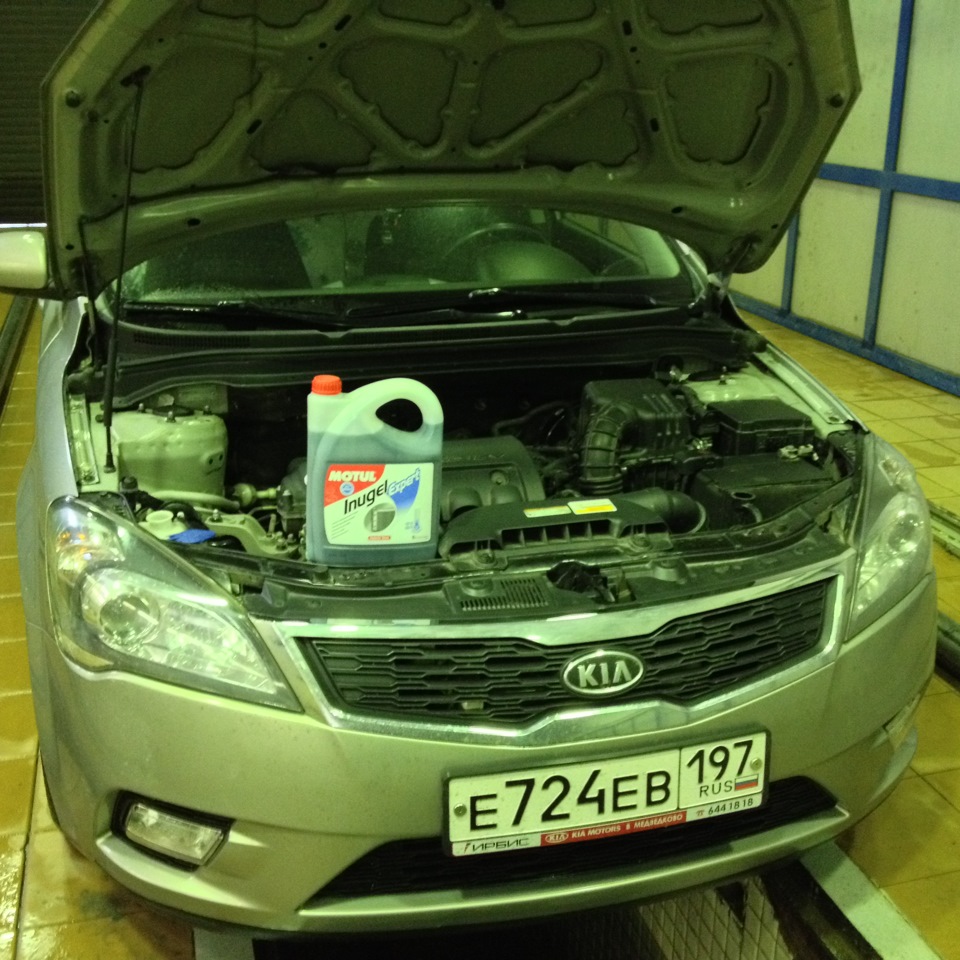Замена антифриза, топливного фильтра и ремня — KIA Ceed (1G), 1,6 л ...