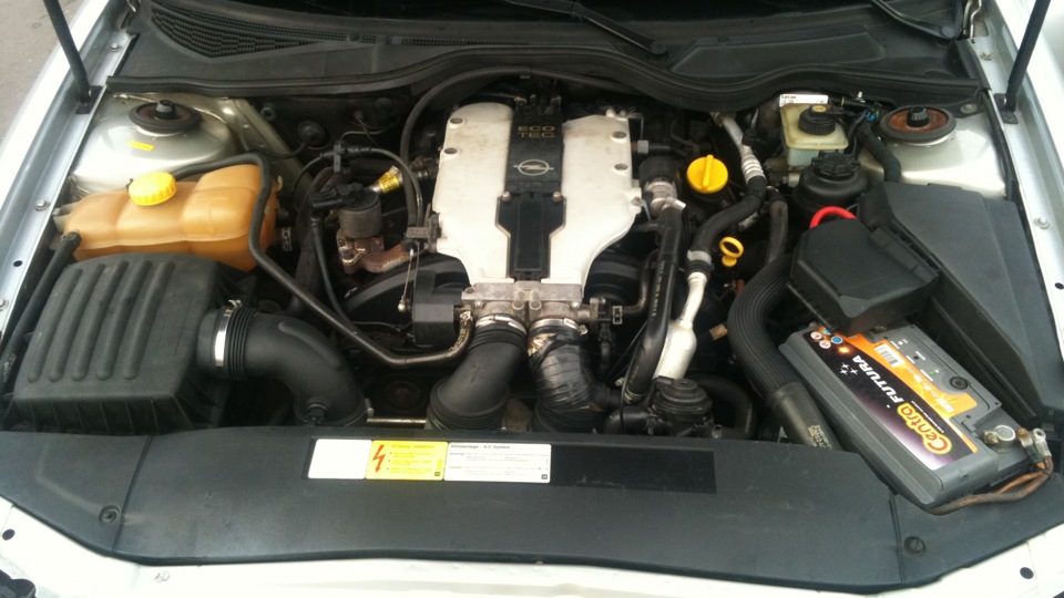 cf4becu-960.jpg