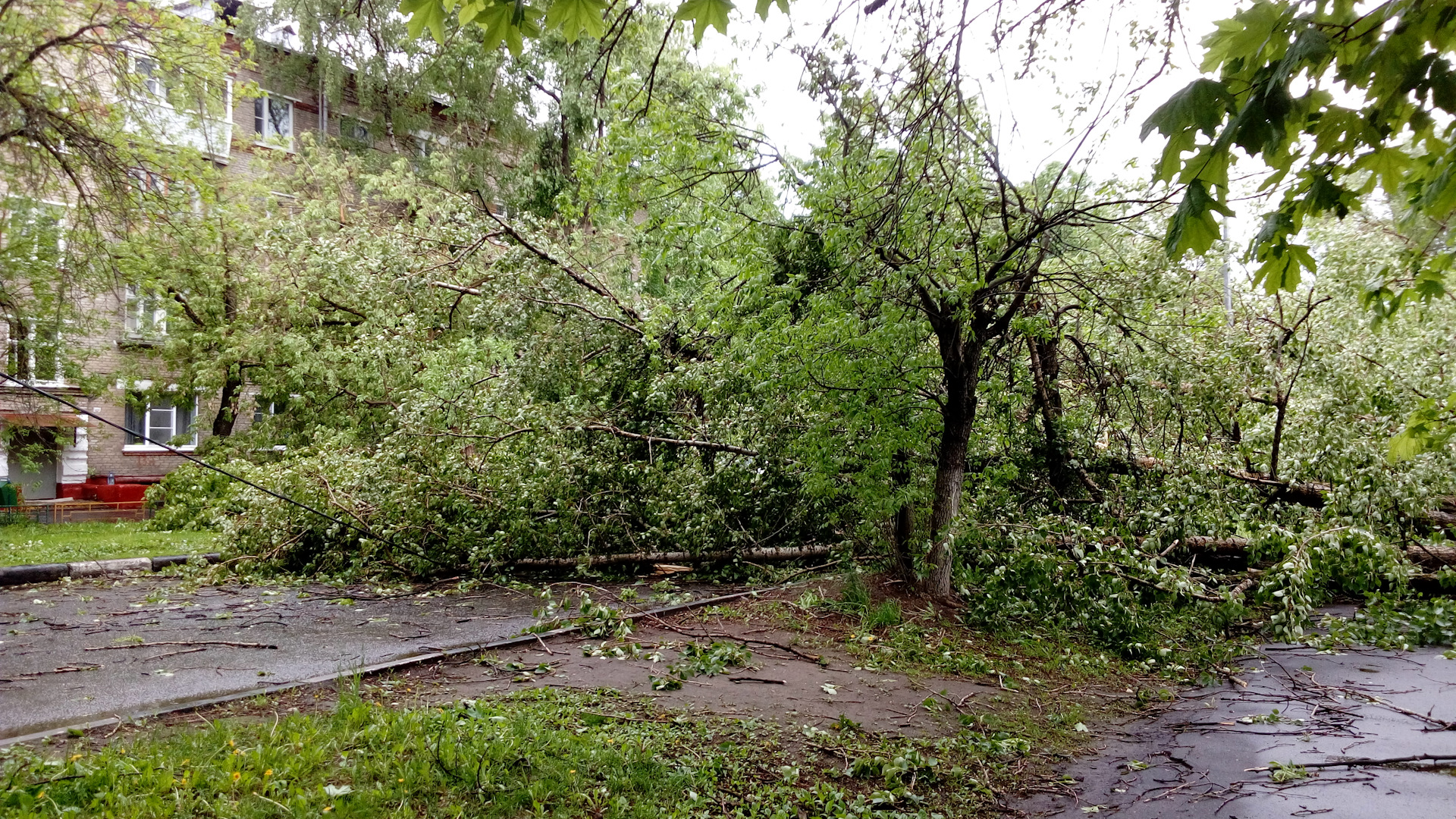 Ураган в евпатории. Дорохово ураган.