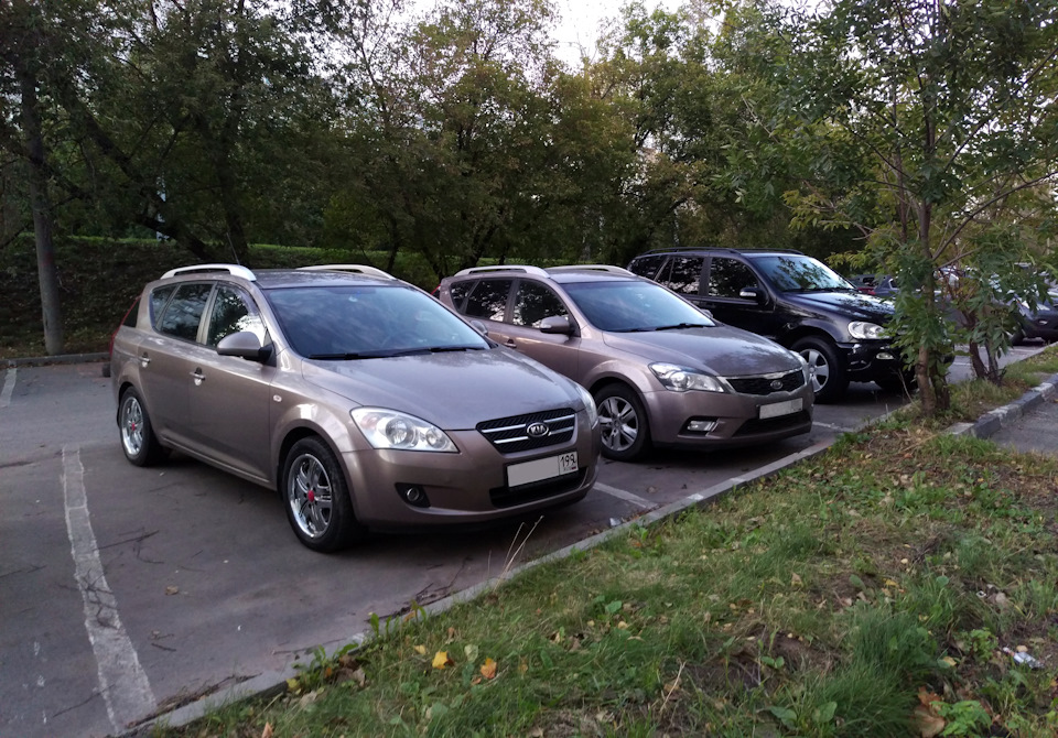 Очень интересная встреча, новые фото. Kia Ceed, много Kia Ceed ;-). Kia ...