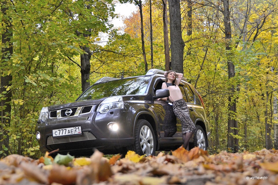 №114. Осень [фото] — Nissan XTrail II (t31), 2 л, 2011 года