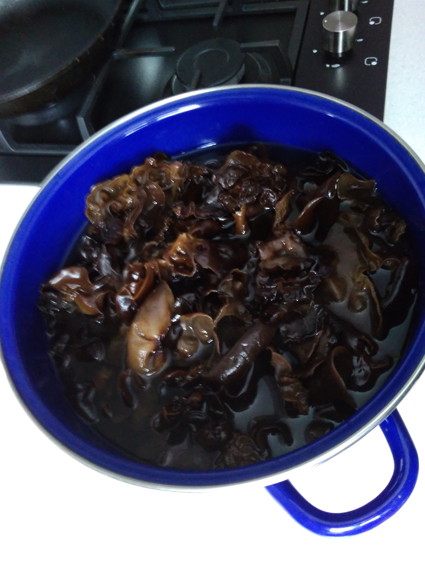 Древесный гриб китайский черный